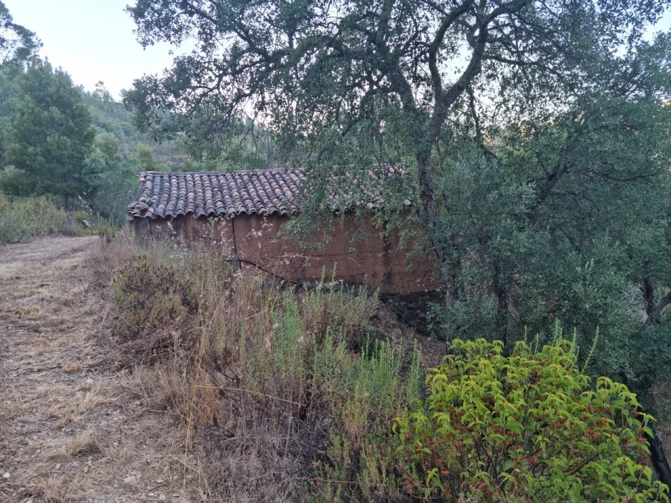 Terreno para Venda em Marmelete Foto 3