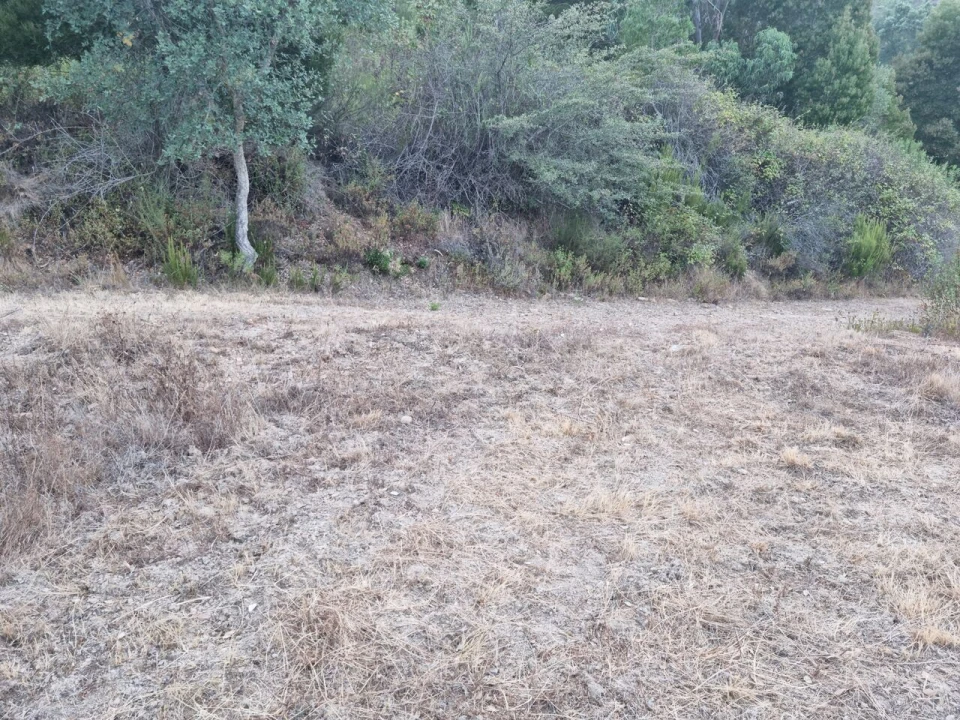 Terreno para Venda em Marmelete Foto 22