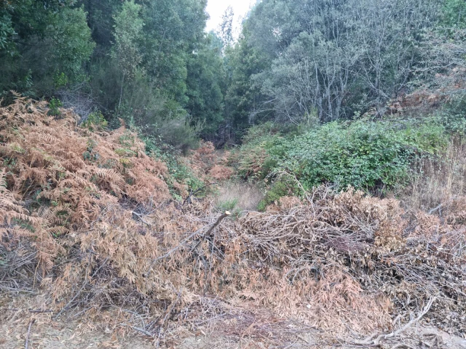 Terreno para Venda em Marmelete Foto 23