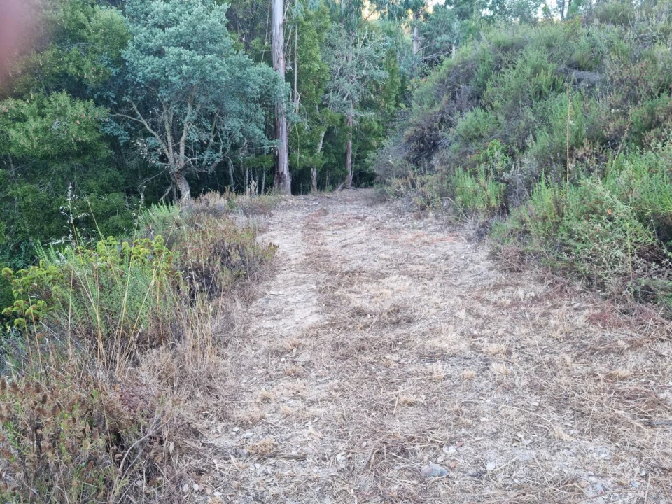 Terreno para Venda em Marmelete Foto 26