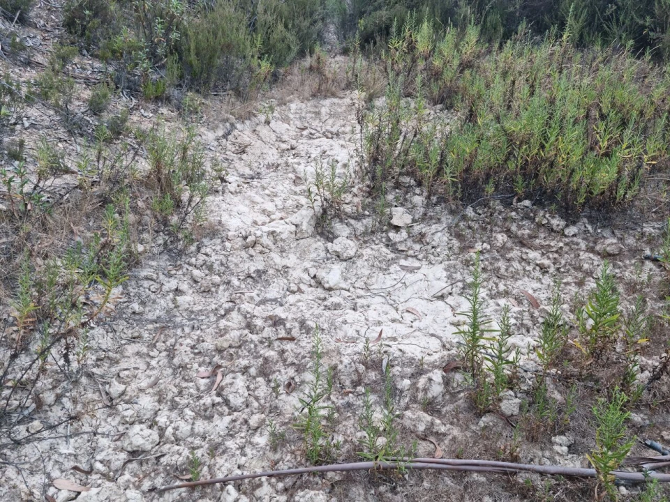 Terreno para Venda em Marmelete Foto 27