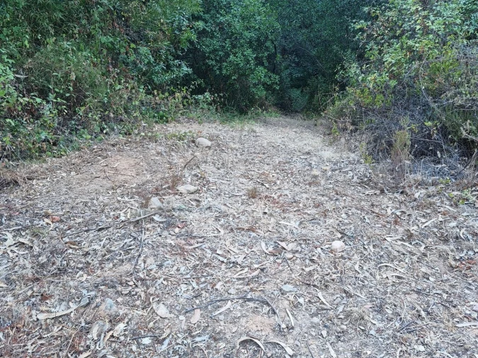 Terreno para Venda em Marmelete Foto 5