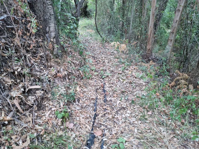 Terreno para Venda em Marmelete Foto 9