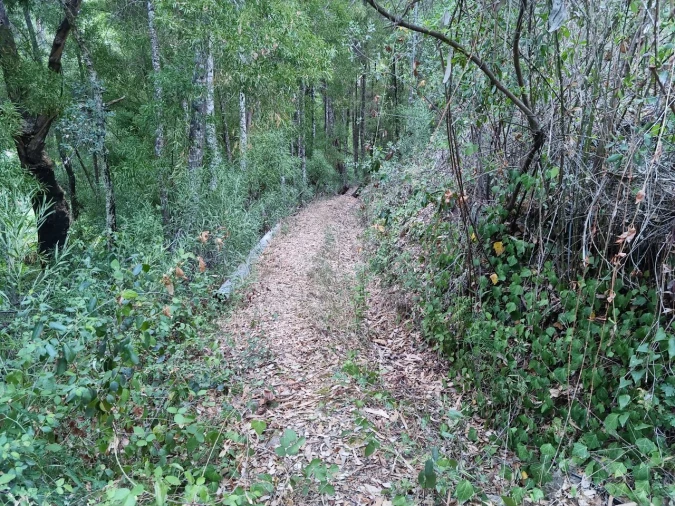 Terreno para Venda em Marmelete Foto 11