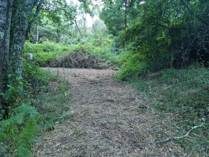Terreno para Venda em Marmelete Foto 12