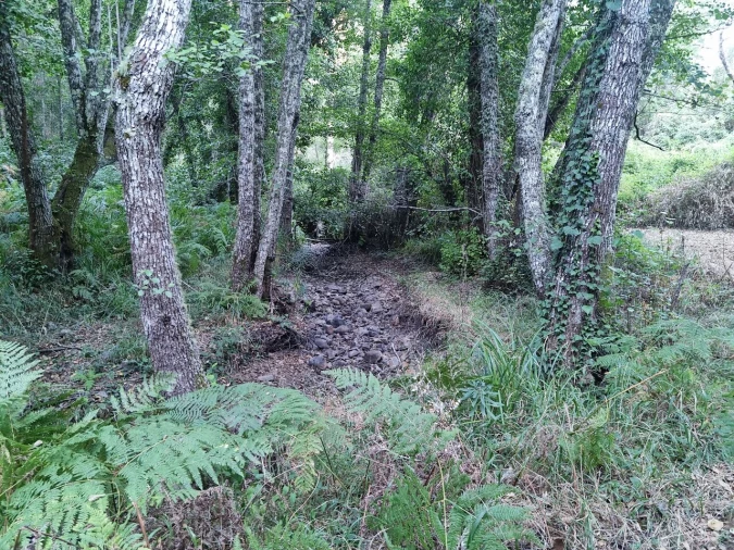 Terreno para Venda em Marmelete Foto 13