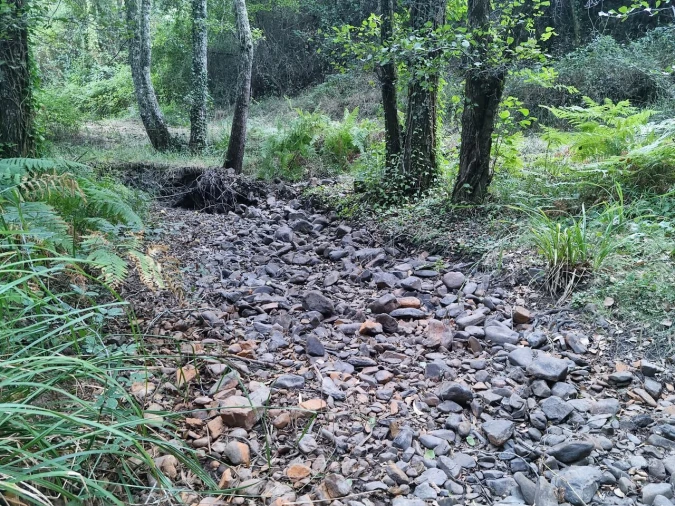 Terreno para Venda em Marmelete Foto 14