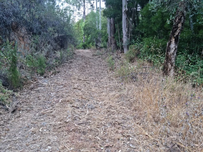 Terreno para Venda em Marmelete Foto 17