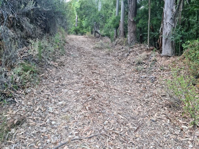 Terreno para Venda em Marmelete Foto 20