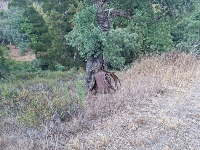 Terreno para Venda em Marmelete Foto 21
