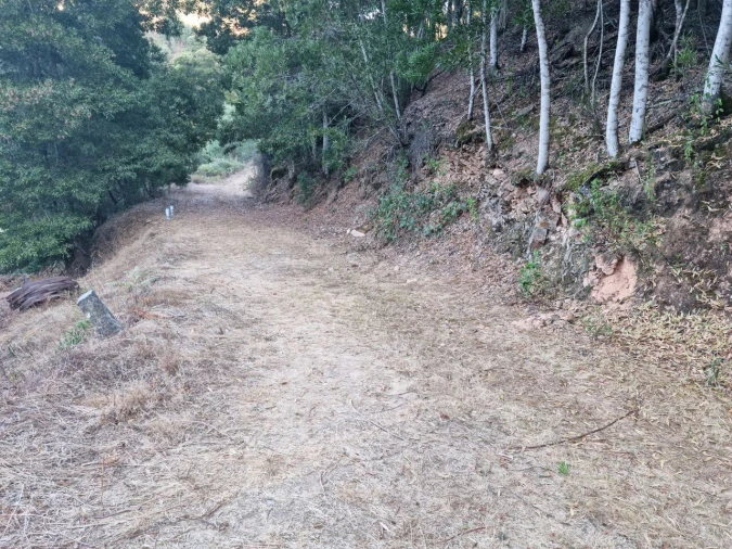 Terreno para Venda em Marmelete Foto 24