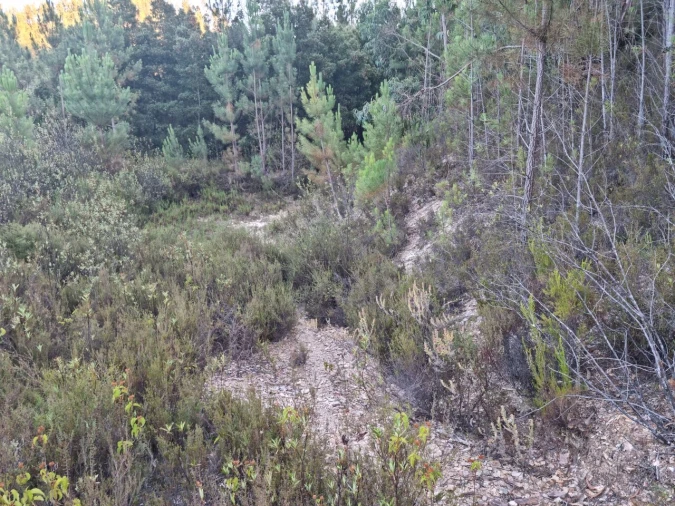 Terreno para Venda em Marmelete Foto 25