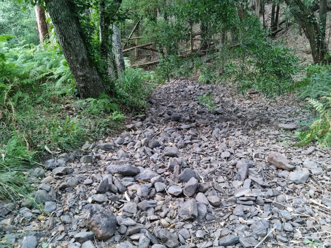 Terreno para Venda em Marmelete Foto 15