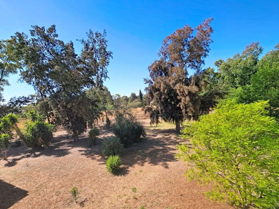 Apartamento T3 para Venda em Alvor Foto 18