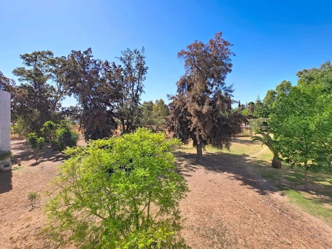 Apartamento T3 para Venda em Alvor Foto 8