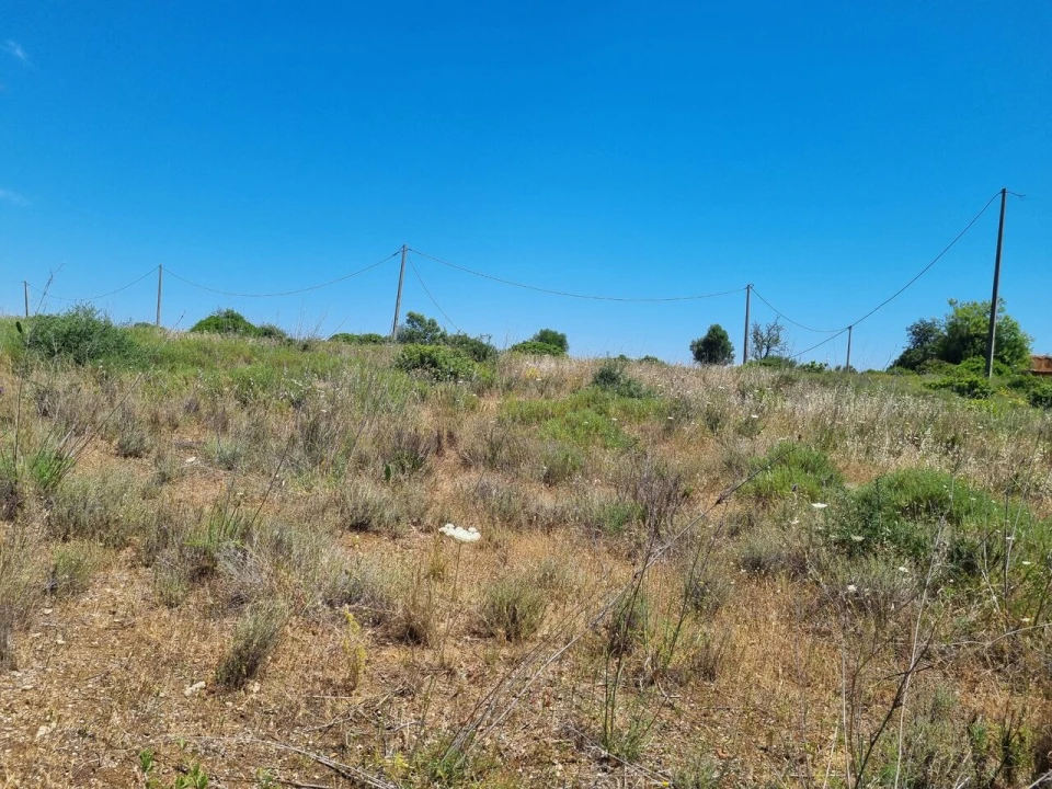 Terreno para Venda em Alcantarilha e Pêra Foto 7