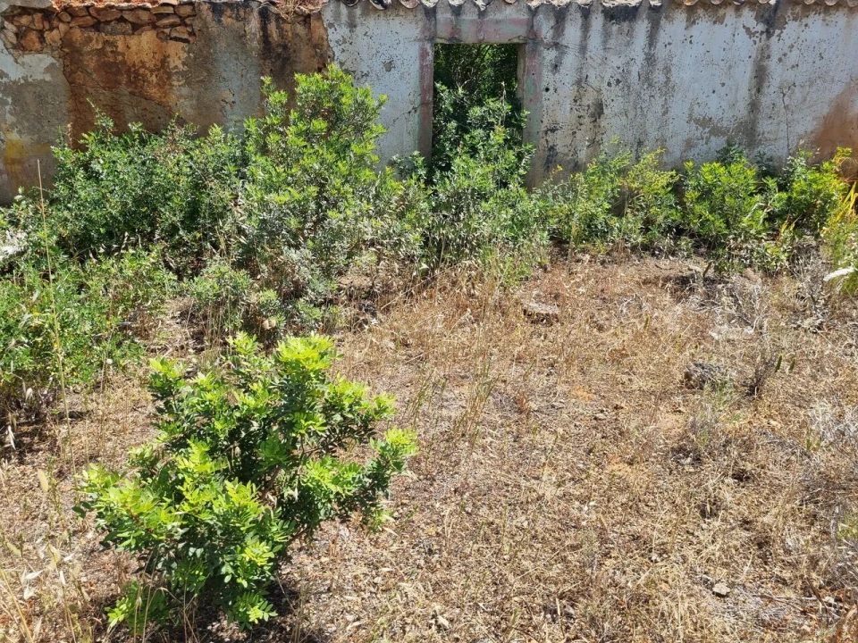 Terreno para Venda em Alcantarilha e Pêra Foto 9