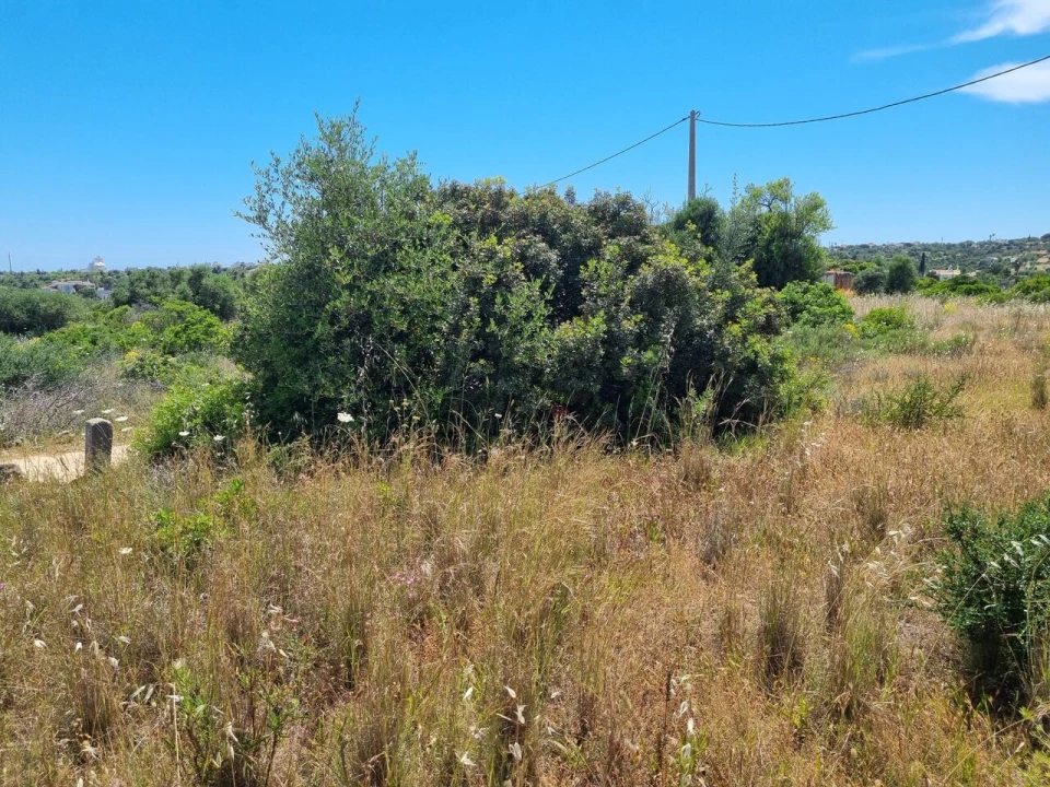 Terreno para Venda em Alcantarilha e Pêra Foto 26