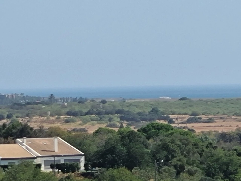 Terreno para Venda em Alcantarilha e Pêra Foto 2