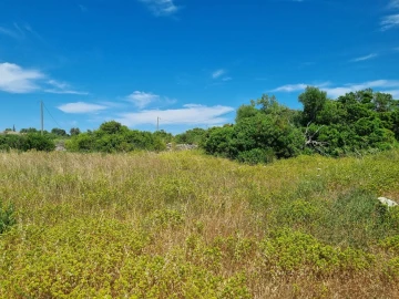 Terreno para Venda em Alcantarilha e Pêra