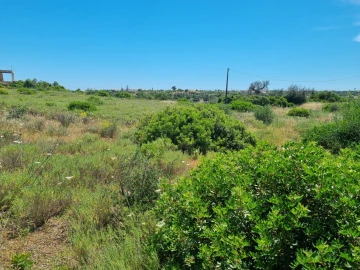 Terreno para Venda em Alcantarilha e Pêra