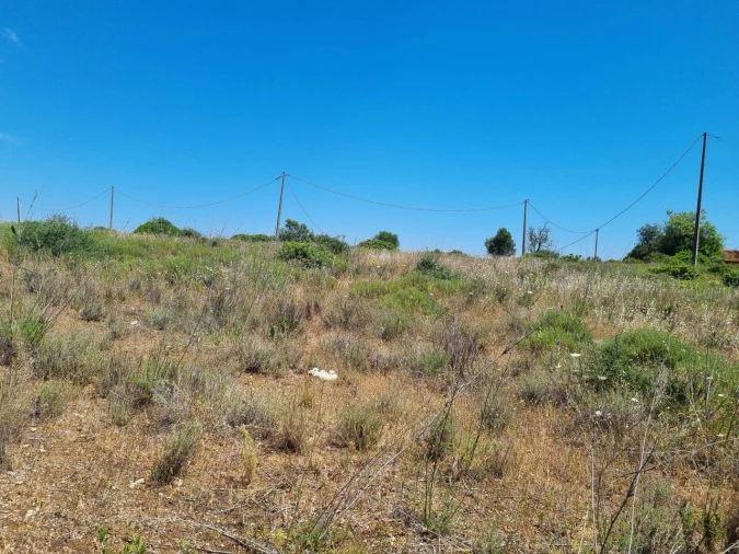 Terreno para Venda em Alcantarilha e Pêra Foto 7