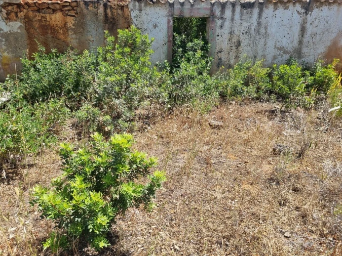 Terreno para Venda em Alcantarilha e Pêra Foto 21