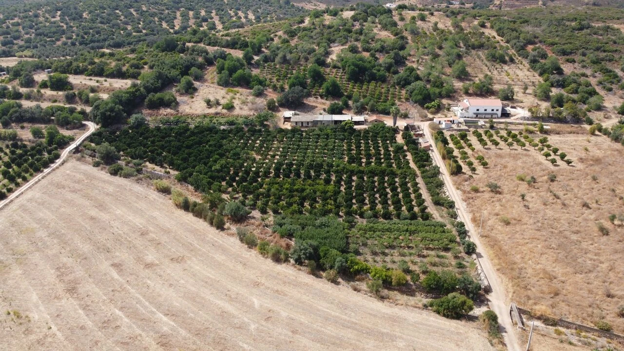 Terreno para Venda em Mexilhoeira Grande Foto 3
