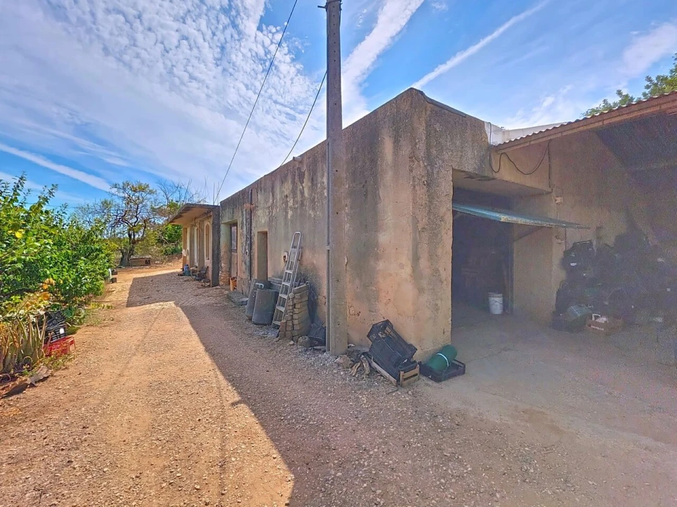 Terreno para Venda em Mexilhoeira Grande Foto 4