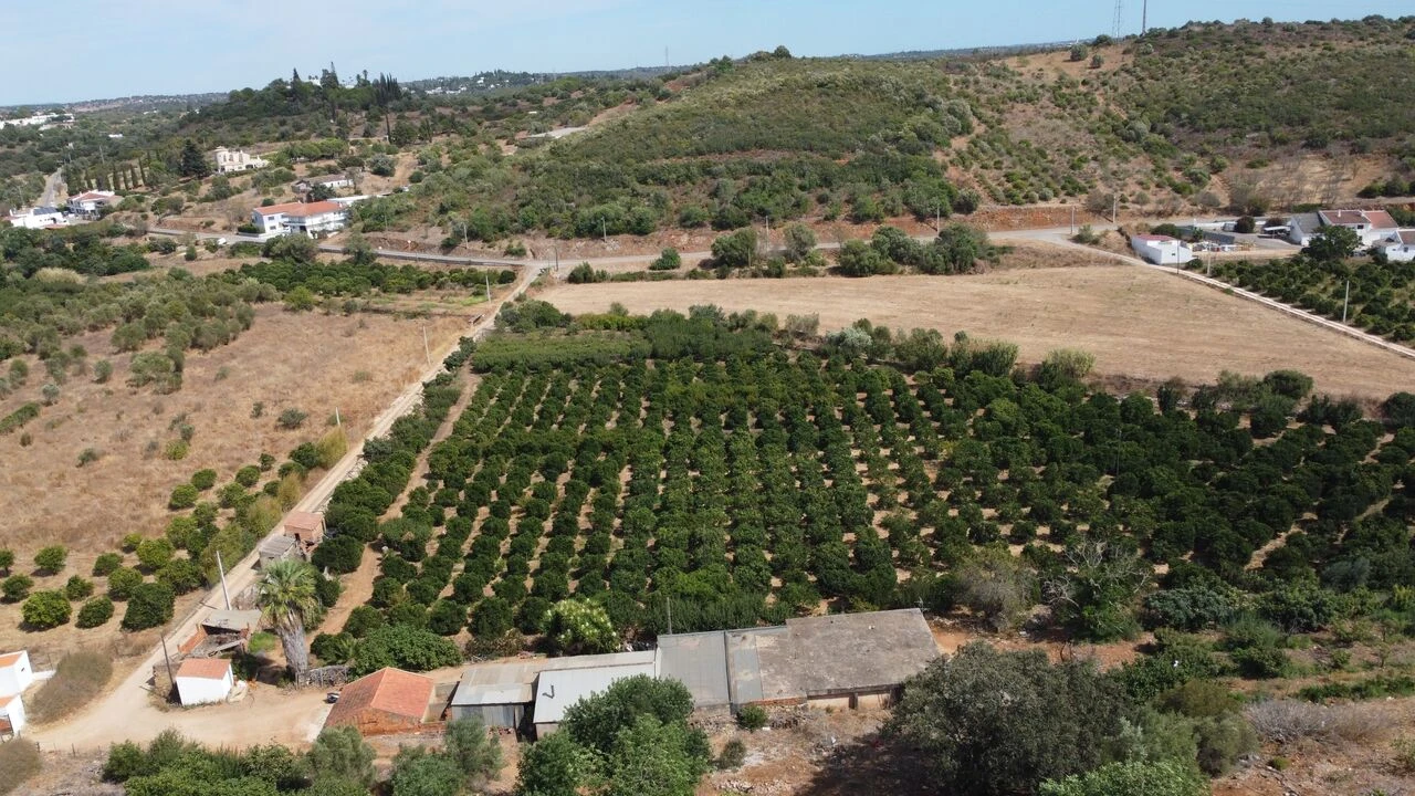 Terreno para Venda em Mexilhoeira Grande Foto 14