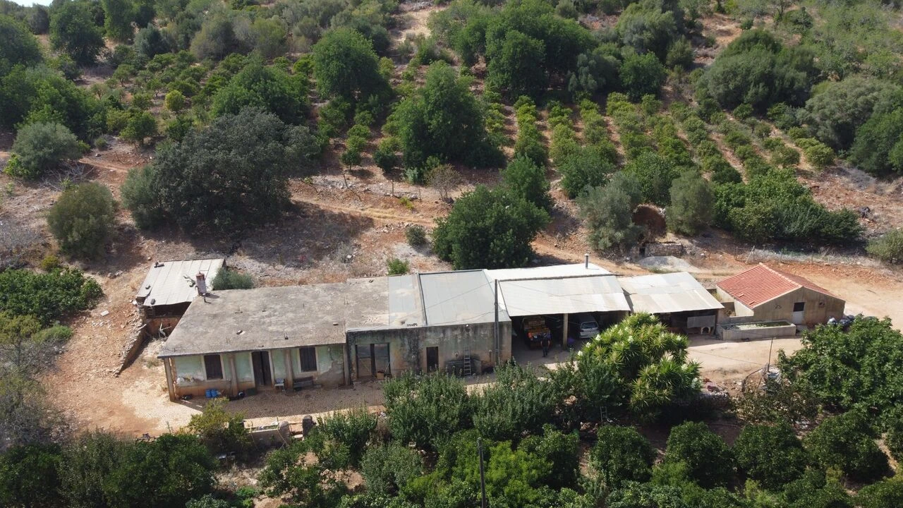 Terreno para Venda em Mexilhoeira Grande Foto 16