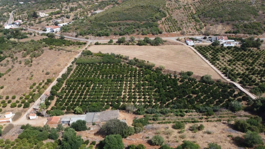 Terreno para Venda em Mexilhoeira Grande Foto 2