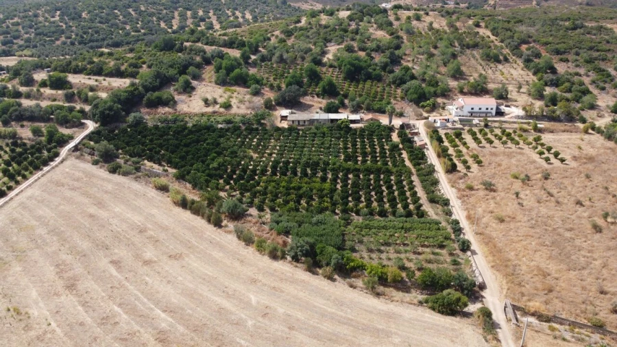Terreno para Venda em Mexilhoeira Grande Foto 3