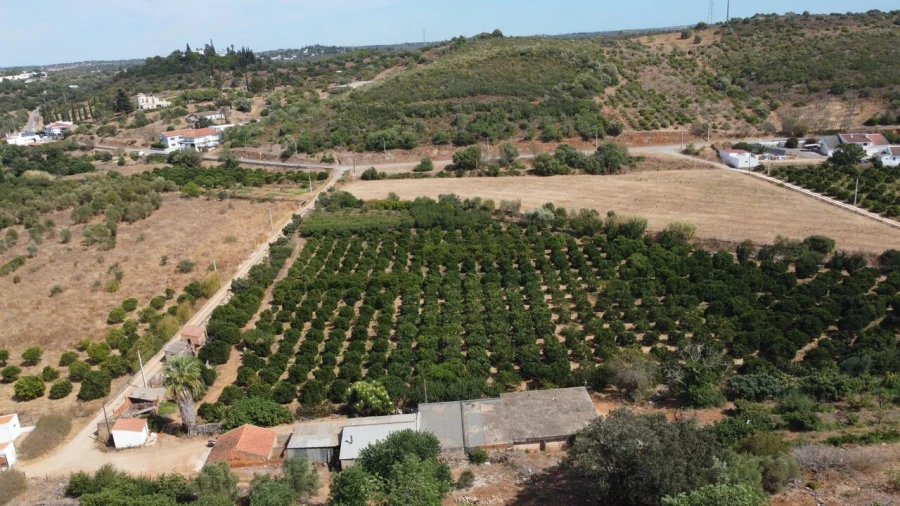 Terreno para Venda em Mexilhoeira Grande Foto 14