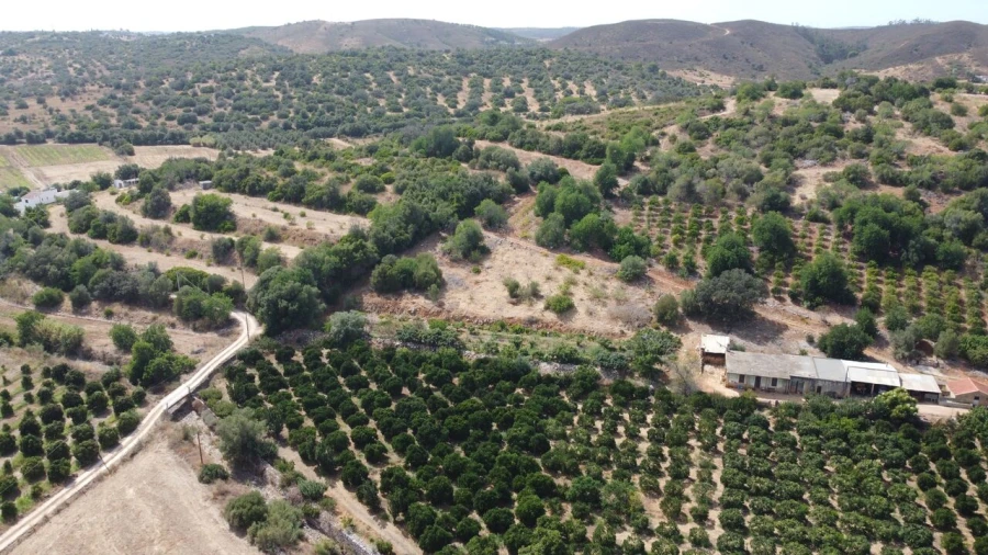 Terreno para Venda em Mexilhoeira Grande Foto 15