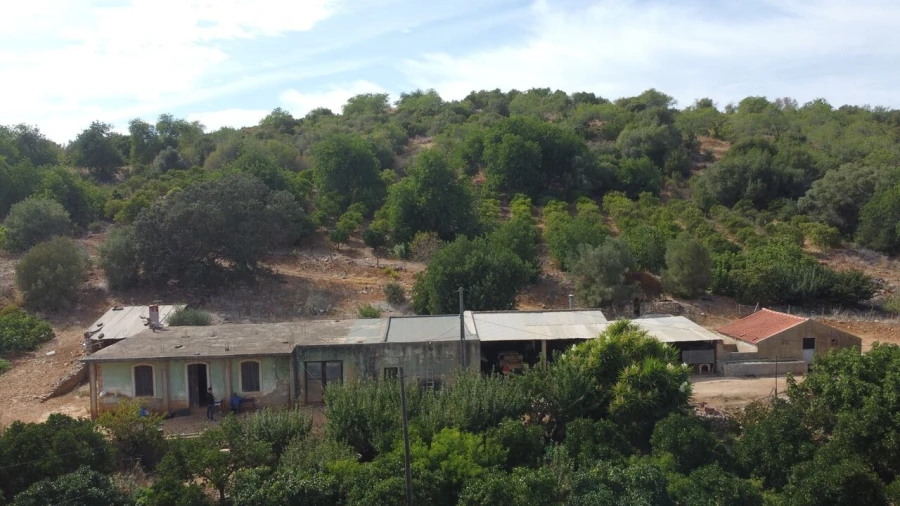 Terreno para Venda em Mexilhoeira Grande Foto 17