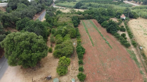 Terreno para Venda em Silves