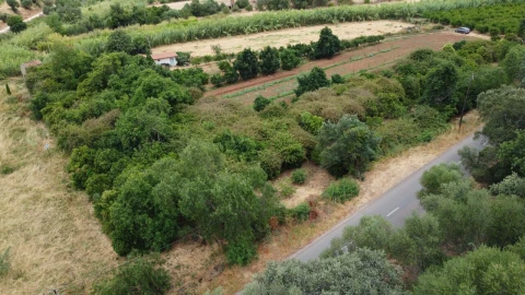 Terreno para Venda em Silves