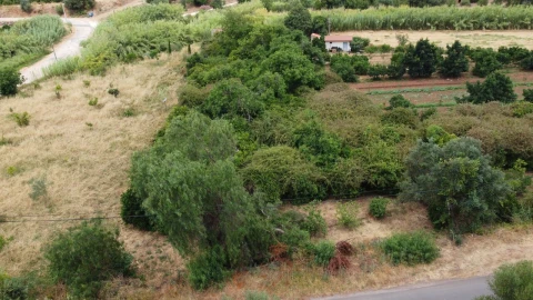 Terreno para Venda em Silves