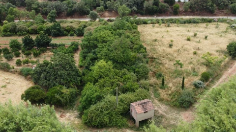 Terreno para Venda em Silves