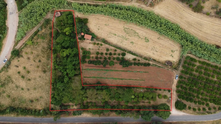 Terreno para Venda em Silves Foto 3