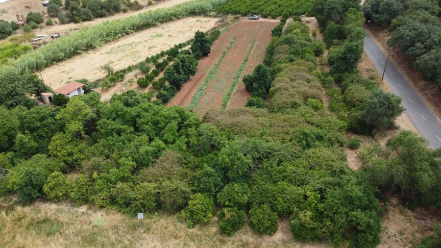 Terreno para Venda em Silves Foto 7