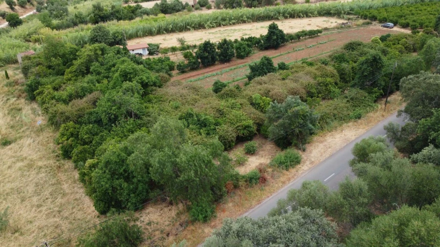 Terreno para Venda em Silves Foto 4