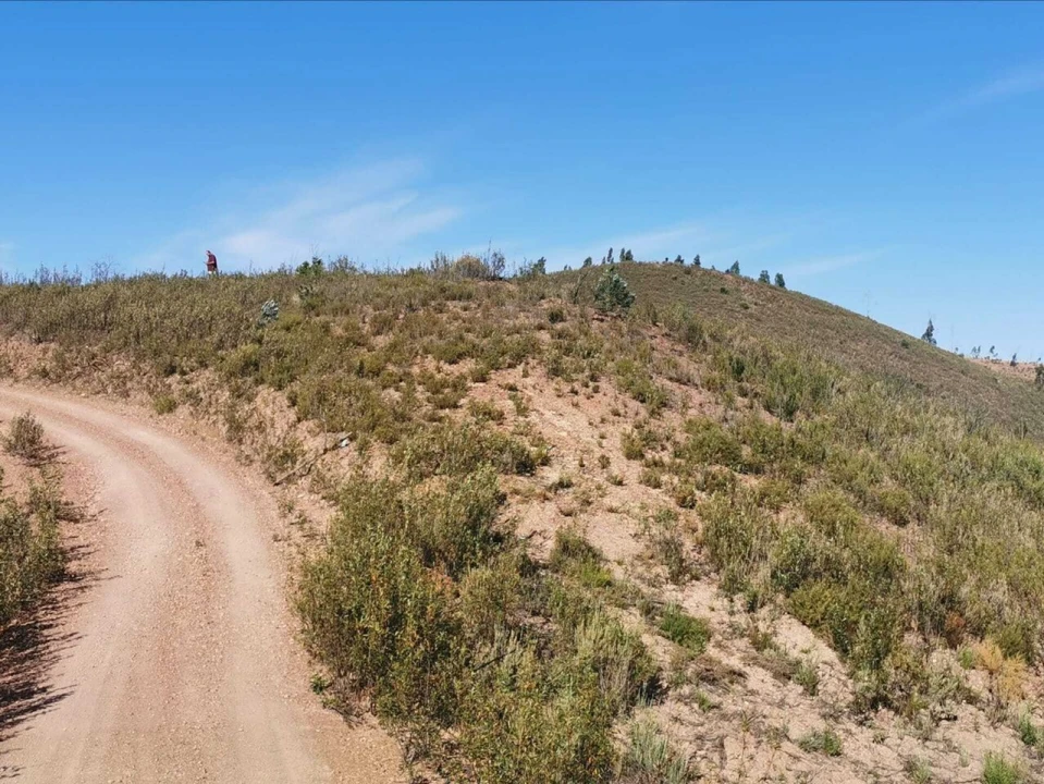 Terreno para Venda em Alferce Foto 7