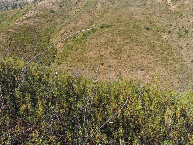 Terreno para Venda em Alferce Foto 3