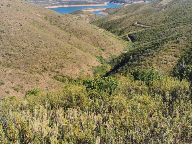Terreno para Venda em Alferce Foto 4