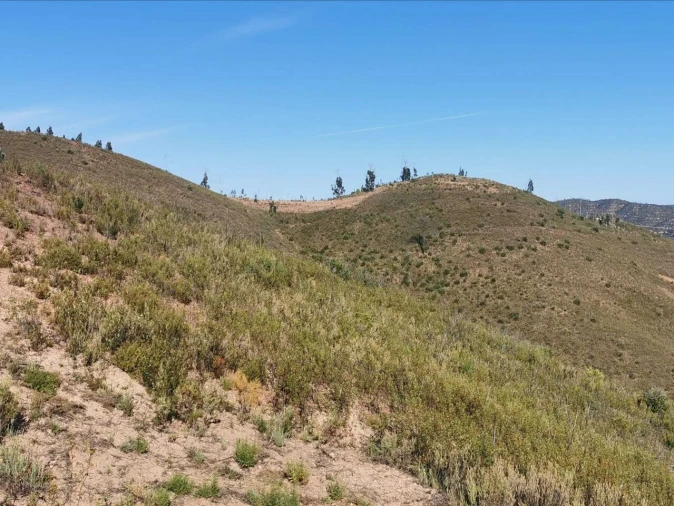 Terreno para Venda em Alferce Foto 8