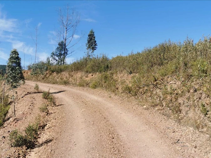 Terreno para Venda em Alferce Foto 9