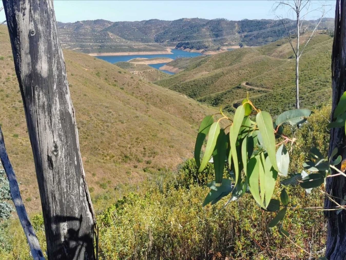 Terreno para Venda em Alferce Foto 10