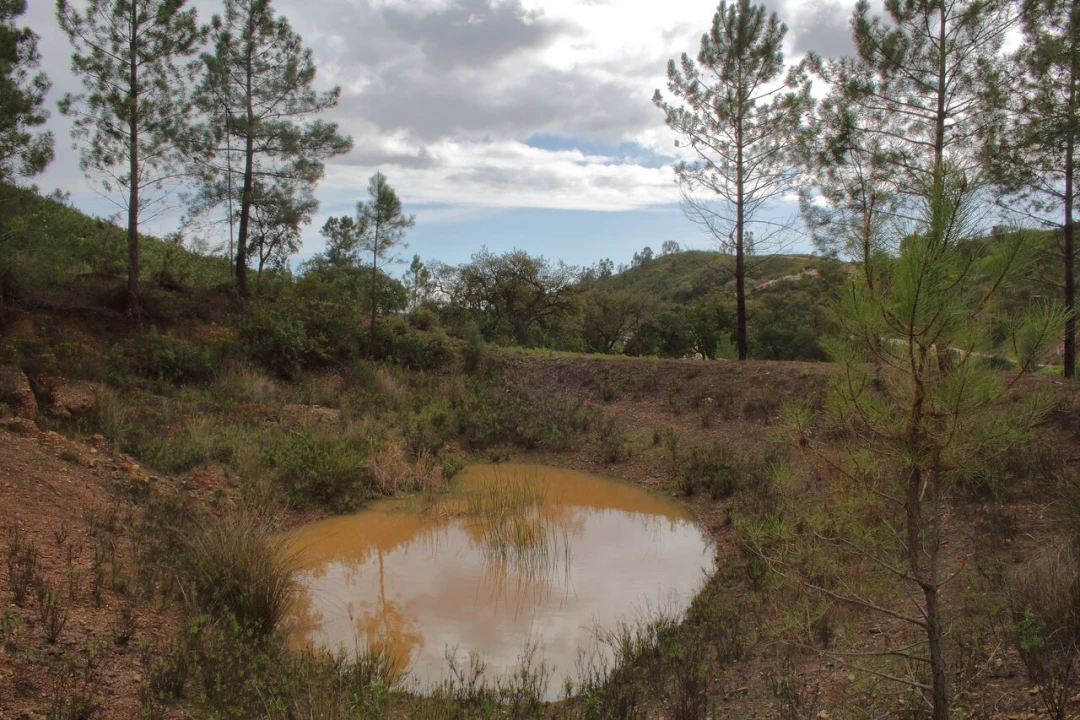 Terreno para Venda em Mexilhoeira Grande Foto 3